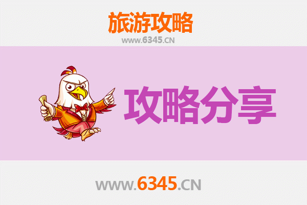 长春朝阳旅游攻略：跟团与自由行深度对比